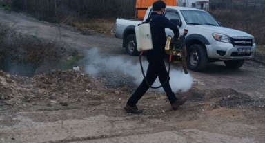 Piraziz’de Temizlik ve İlaçlama Seferberliği