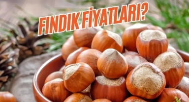 Üreticinin Gözü Kulağı Fiyatlarda, Giresun'da Bugün Fındık Kaç Lira?