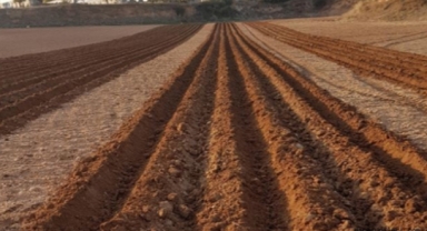 Toprak İşleme ve Arazi Hazırlığı Hizmeti Alınacak