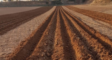 Toprak İşleme ve Arazi Hazırlığı Hizmeti Alınacak