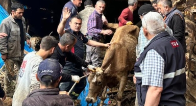 Ahır göçüğünde can pazarı: Kadın ağır yaralı kurtarıldı, hayvanlar enkaz altında kaldı