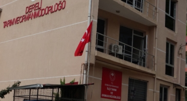  Dereli İlçe Tarım ve Orman Müdürlüğü'nde kamu zararı iddialarıyla ilgili soruşturma başlatıldı!