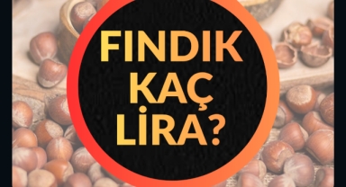 Giresun'da fındık fiyatları yükseldi mi? Fındık fiyatları kaç TL?