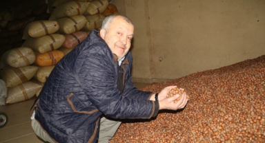 Giresun'da Kurban Bayramı öncesi fındık fiyatları geriledi
