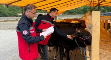 Giresun’da Kurban Pazarlarında Sıkı Kontrol!