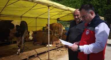 Giresun'da Sağlıklı Kurbanlık İçin Sahada Yoğun Denetim!