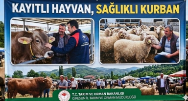 Giresun İl Tarım ve Orman Müdürlüğünden Kurbanlık Alımında Kritik Uyarılar!