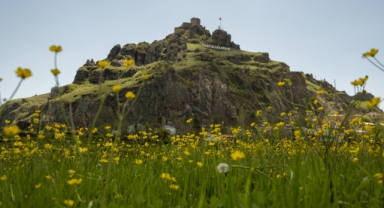 Giresun ilkbahar renklerine büründü