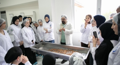 GRÜ Fındık İşleme Tesisinde İlk Uygulamalı Eğitim Gerçekleştirildi