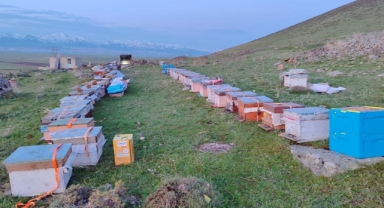 Karadeniz'in gezgin arıcıları yeni sezon için Doğu Anadolu'nun dağlarını mesken tuttu