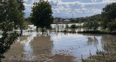 Taşkın nedeniyle tarım alanlarını su bastı