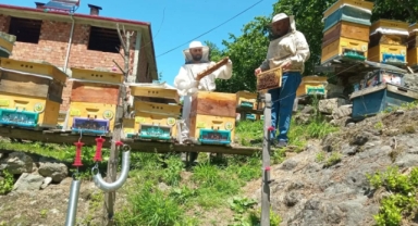 Çanakçı İlçesinde Orman Köylülerine Dağıtılan Arılı Kovanlar Denetlendi