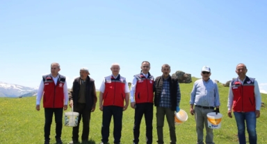 Dereli Sarıyakup Yaylalarında Mera Islah Çalışması: 8 Ton Gübre Toprakla Buluştu
