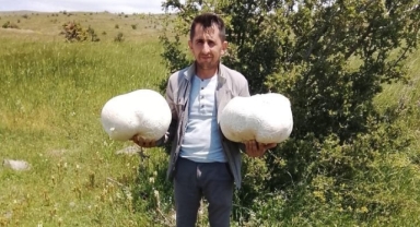 Doğada 20 kiloluk mantar buldu