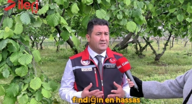 Fındık Araştırma Enstitüsü Müdürü Dr. Yusuf Bilgen İleri TV'ye Konuştu