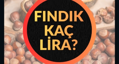 Giresun'da 13 Haziran Cumartesi Fındık fiyatları ne kadar?