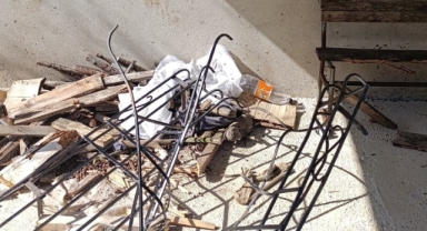 Giresun’da Ayı Tehlikesi! 3 Bölgede Müdahale Başlıyor