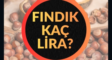 Giresun'da fındık piyasasında son durum… Fındık fiyatları ne kadar?