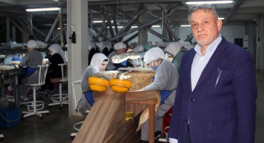 Giresun'da Fındık Üreticisini Üzen Tablo: Gözler Yeni Sezonda!