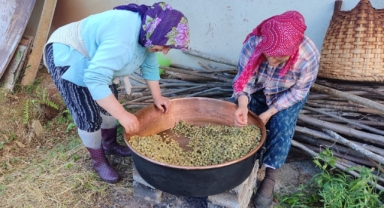 Giresun’da Geleneksel Emek: Dut Pekmezi Mesaisi Başladı