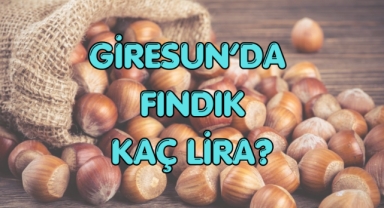 Giresun Fındığı Haftaya Yukarı Yönlü Hareketle Başladı! 