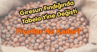 Giresun Fındığında Tabela Yine Değişti: Fiyatlar Ne Kadar?