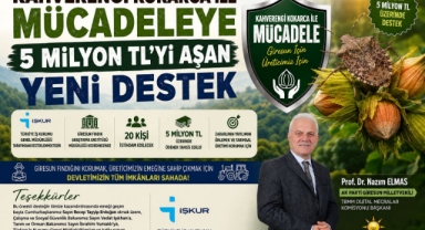 Giresun’un Fındığı İçin Güç Takviyesi: Zararlıya Karşı 5 Milyon TL’lik Destek!
