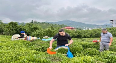 Giresun'dan kısa kısa 
