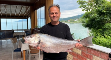Karadeniz’de nadir görülen beyaz kötek balığı avlandı!