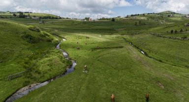 Karadeniz'in doğasıyla öne çıkan Çambaşı Yaylası misafirlerini ağırlıyor