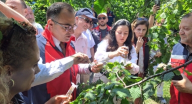 Keşap’ta Kahverengi Kokarcaya Karşı Samuray Arıları Doğaya Salındı