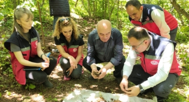 Keşap’ta Karadeniz Kardeleni Hasadı Kontrol Edildi