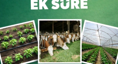 Kırsal Kalkınma Yatırımlarında Hibe Başvuru Süresi Uzatıldı 