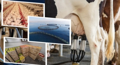 Kırsala 30 Milyon Avroluk Yeni Destek Paketi! IPARD III’te Yeni Başvuru Çağrısı Açıldı