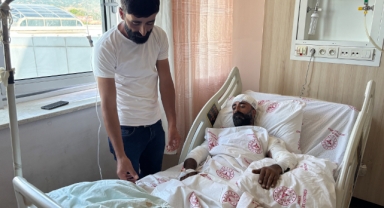 Mantar toplarken ayı saldırısına uğradı, kollarıyla başını siper ederek hayatta kaldı