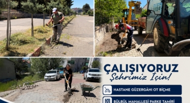 Şebinkarahisar Belediyesinden Çevre Düzenleme ve Yol Bakım Çalışmaları