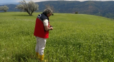 ŞEBİNKARAHİSAR’DA BİTKİSEL ÜRETİME TEKNİK DESTEK SÜRÜYOR