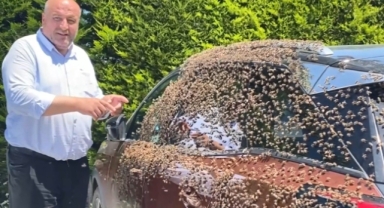 Şehir merkezinde otomobili arılar sardı