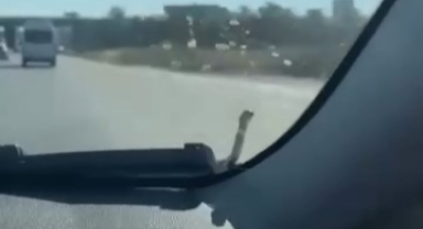 Seyir halindeki aracın kaputunda yılan paniği!