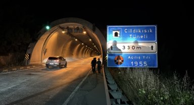 Tünelde otomobilin çarptığı bozayı yaralandı