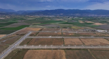 Türkiye'nin tıbbi ve aromatik bitkilerde 