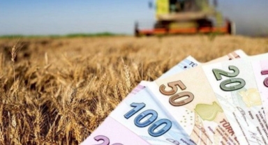 237 Milyon TL'lik Tarımsal Destek Ödemesi Çiftçilerin Hesaplarına Aktarılıyor