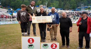 Artvin'de "45. Kafkasör Kültür, Turizm ve Sanat Festivali" boğa güreşleriyle sürdü