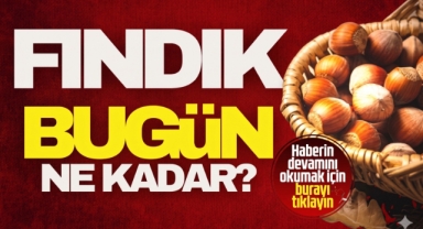 Giresun'da fındık fiyatları bugün ne kadar?