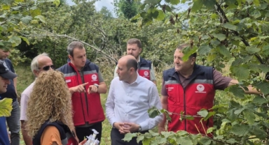 Giresun'da Samuray Arıları Görevde 