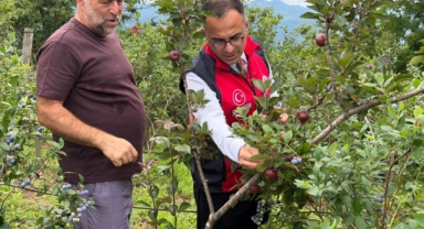 Giresun'da Üretici Ziyaretleri Sürüyor