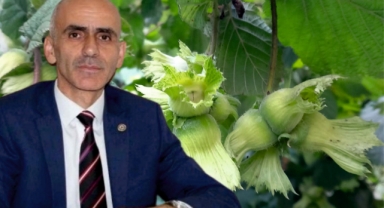 Giresun Ziraat Odası Başkanı Nurittin Karan: 
