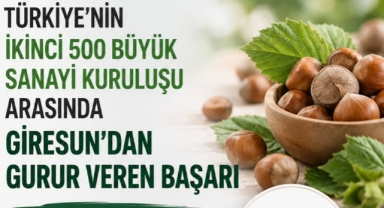 Giresunlu Firma Sanayi Devleri Arasında