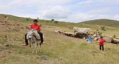 Göçerlerin yüksek rakımlı yaylalardaki mesaisi sürüyor