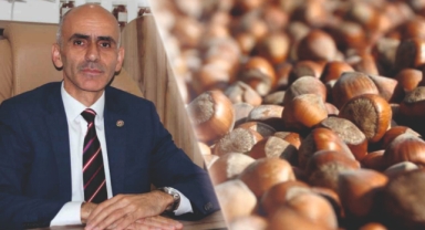Karan'dan Fındık Fiyatı Çıkışı: 'Bu Rakam Kabul Edilemez!'